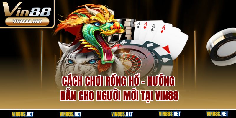 Cách Chơi Rồng Hổ - Hướng Dẫn Cho Người Mới Tại Vin88