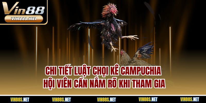 Chi tiết luật chọi kê Campuchia hội viên cần nắm rõ khi tham gia