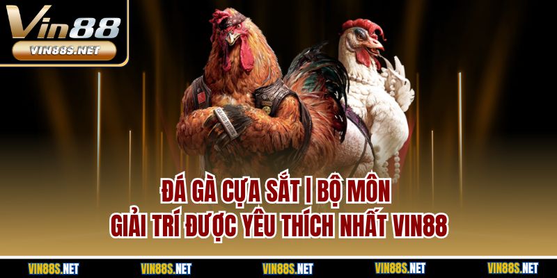 Đá Gà Cựa Sắt | Bộ Môn Giải Trí Được Yêu Thích Nhất Vin88