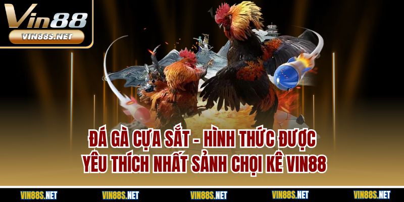 Đá gà cựa sắt - Hình thức được yêu thích nhất sảnh chọi kê Vin88