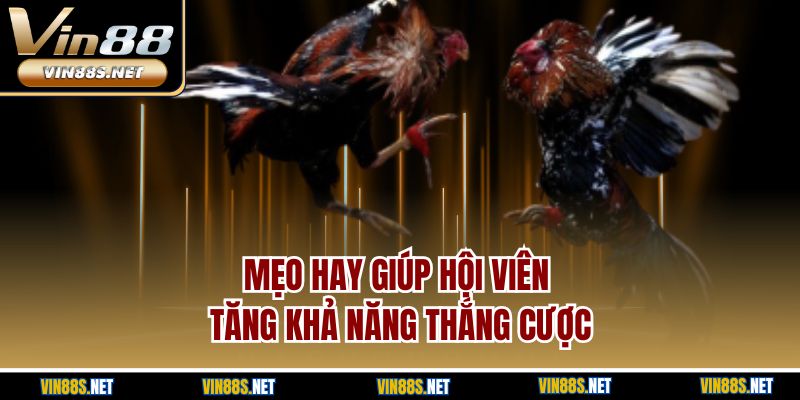 Mẹo hay giúp hội viên tăng khả năng thắng cược