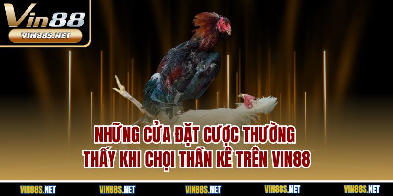 Những cửa đặt cược thường thấy khi chọi thần kê trên Vin88