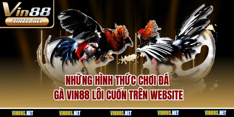 Những hình thức chơi đá gà Vin88 lôi cuốn trên website