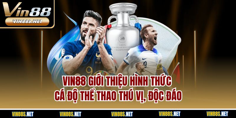 Vin88 giới thiệu hình thức cá độ thể thao thú vị, độc đáo